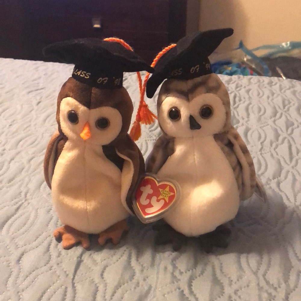 Graduation owl bundle